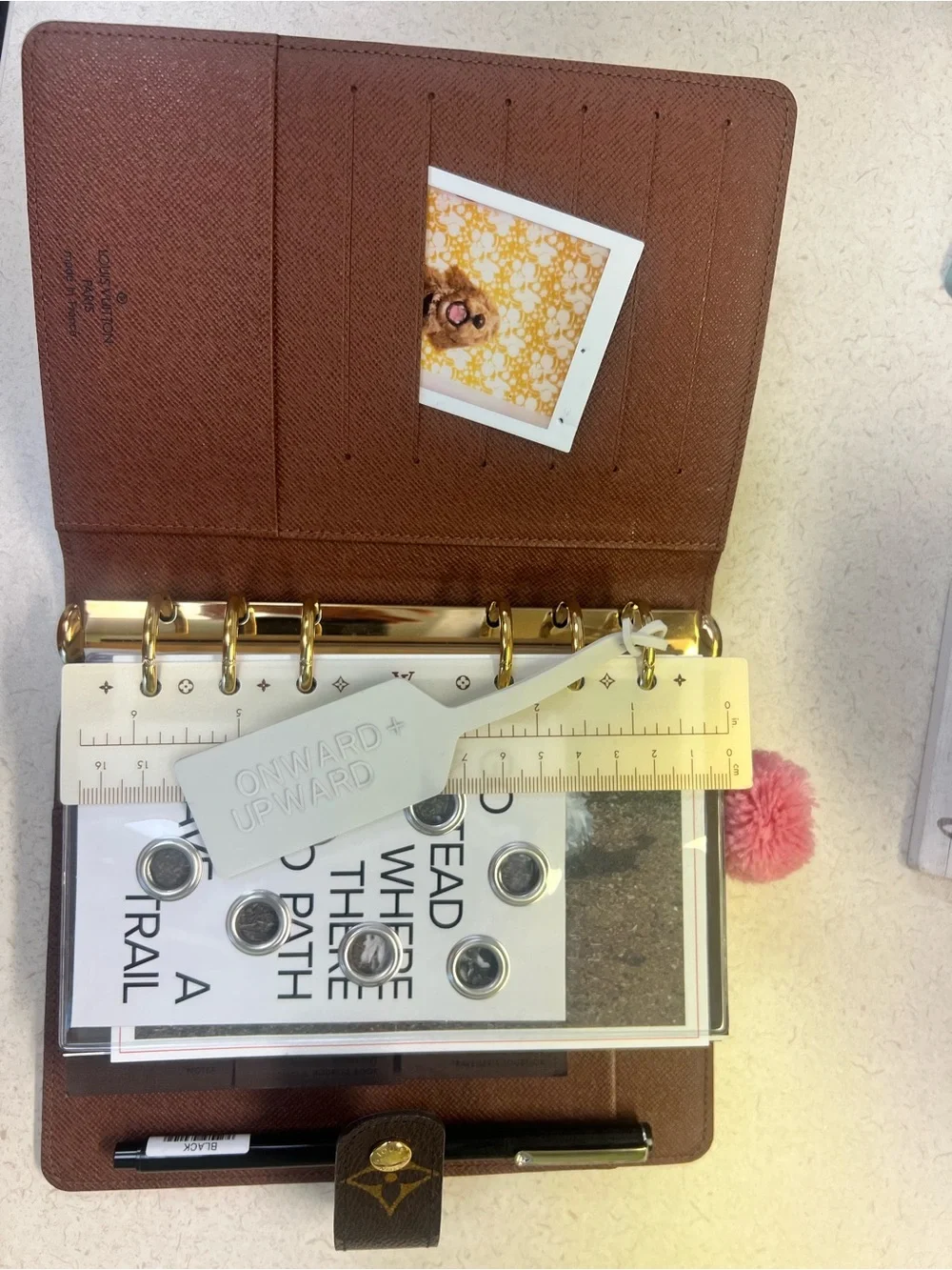 Louis Vuitton authentic louis